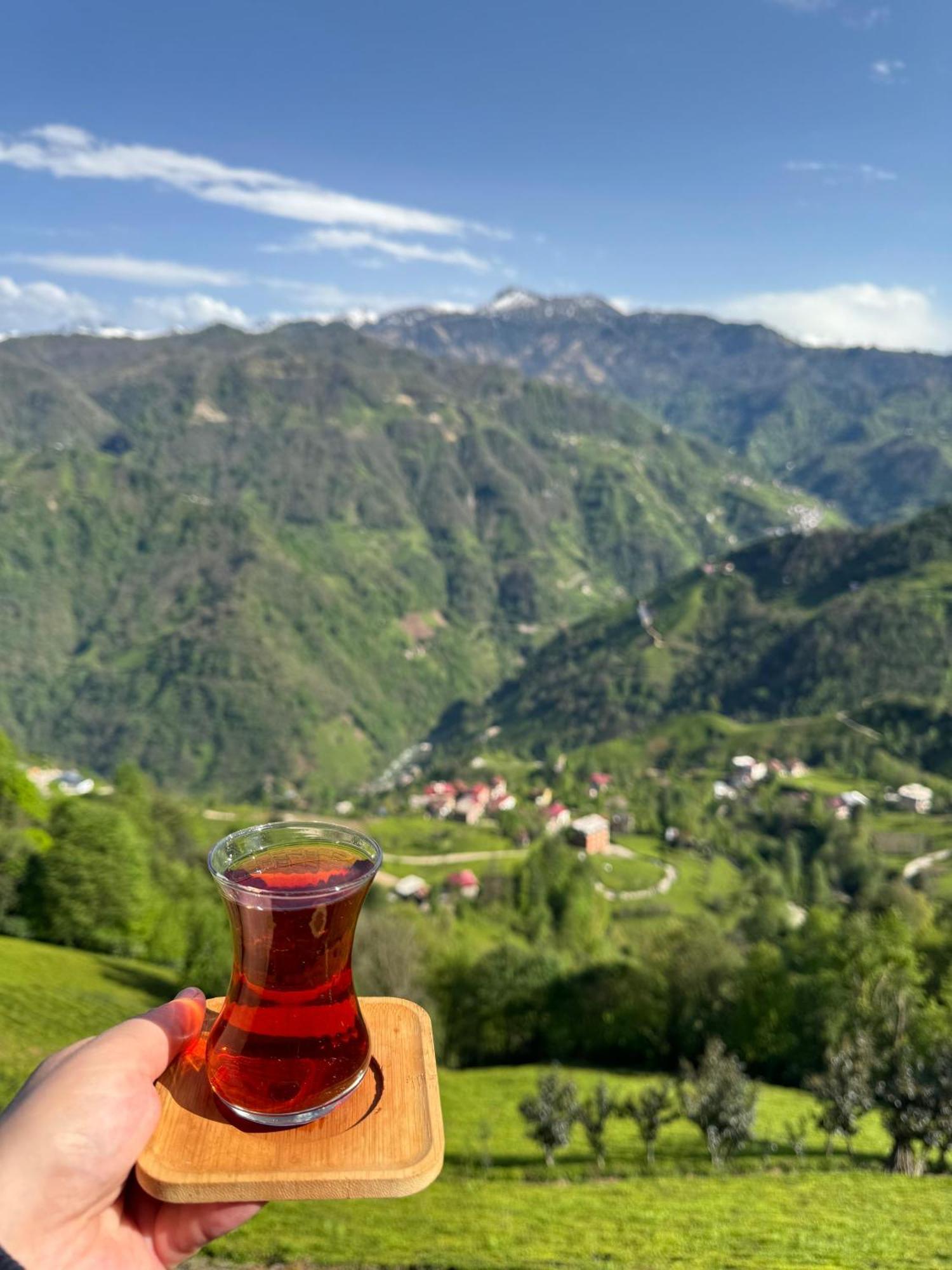 Pera Bungalov Ardeşen エクステリア 写真