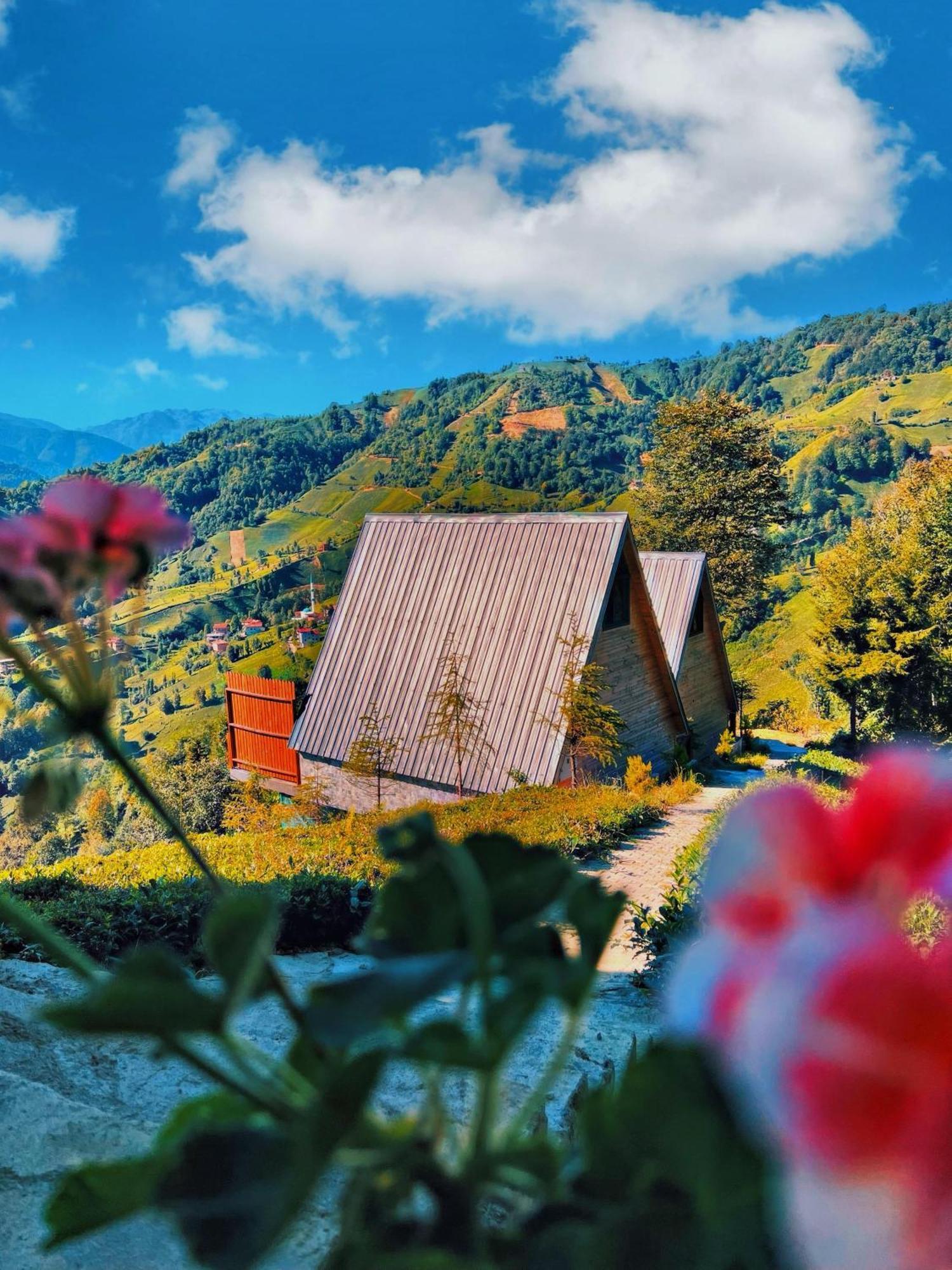 Pera Bungalov Ardeşen エクステリア 写真